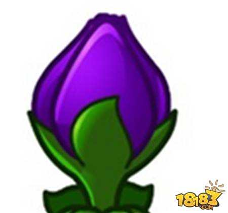 植物大战僵尸2缩小紫罗兰获取方式详细解读