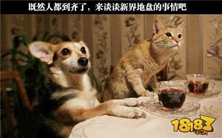 每周小皇文:《皇室战争》又双叒叕获奖了