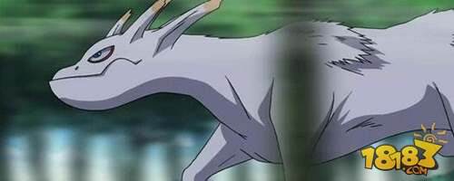 火影忍者手游尾兽人柱力TOP5展示