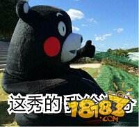 球球教父一怒为红颜 大爆粗口却被调侃是GAY