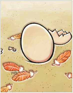 仙境传说RO大嘴鸟蛋卡片属性 大嘴鸟蛋卡片掉落途径