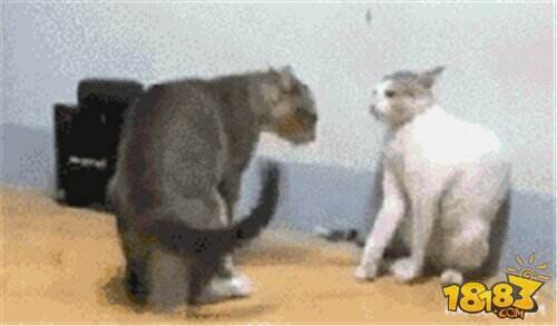 球球也有蛇皮走位 虎牙直播炫星上演极限反应