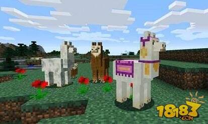 羊驼、潜影盒等即将加入安卓测试!