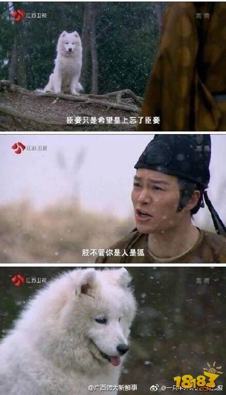 18183每日手游推荐:摄影穷三代,单反毁一生