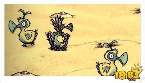 饥荒海难渡渡鸟捕捉及驯养方式解读