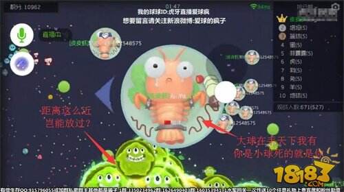 高端操作!虎牙直播疯子这卡点牛B炸了