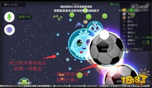 一切都是球球大作战的阴谋虎牙直播疯子遭遇生死迷局