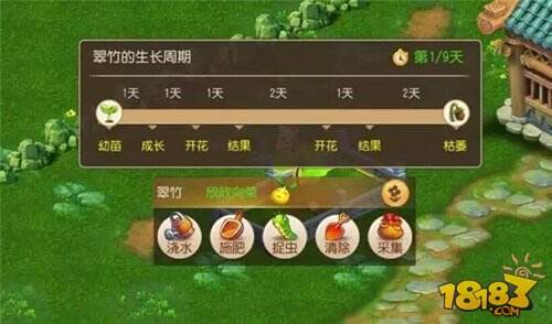 梦幻西游手游超级大熊猫玩法指南