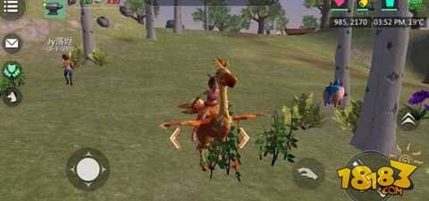 创造与魔法陆行鸟捕捉心得分享