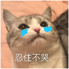 你的礼朋友—从此福利不用愁 礼包胜似女朋友