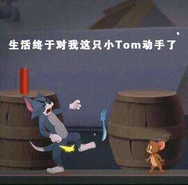 论斗图毛和官方表情手游表情帝Tom就没怕过pdd暴走老鼠包图片