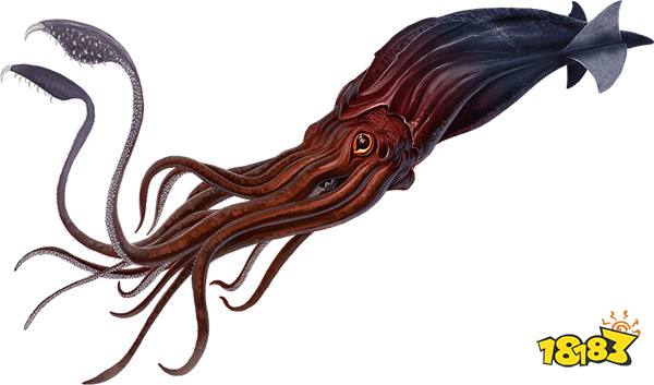 方舟生存进化托斯特巨鱿介绍 令人恐惧的深海生物