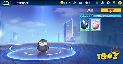 QQ飞车手游企鹅仔仔