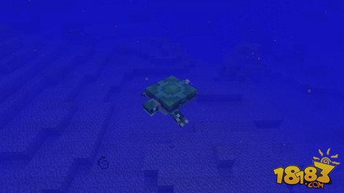 我的世界海龟即将加入 Minecraft新生物添加已确定