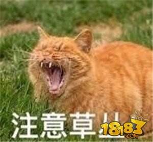王者荣耀C位实用攻略 必须要做到一些小技巧盘点 王者荣耀C位实用攻略 必须要做到一些小技巧盘点