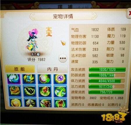 血宠一姐永不退位 这才是龟怂忍的最高境界