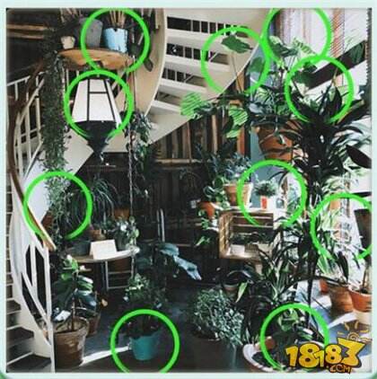 微信大家來找茬3月5日每日挑戰(zhàn)答案一覽