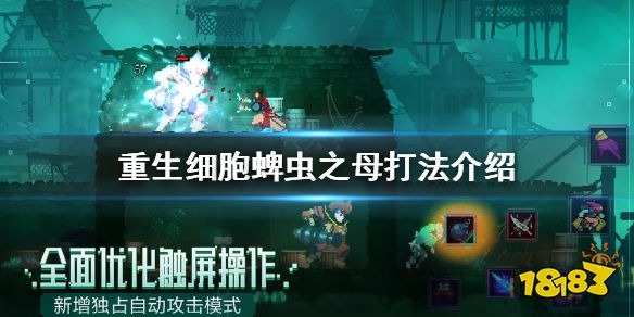 重生细胞boss蜱虫之母怎么打 蜱虫之母打法技巧
