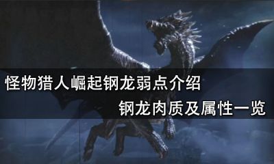 怪物猎人崛起钢龙弱点介绍 钢龙肉质及属性一览