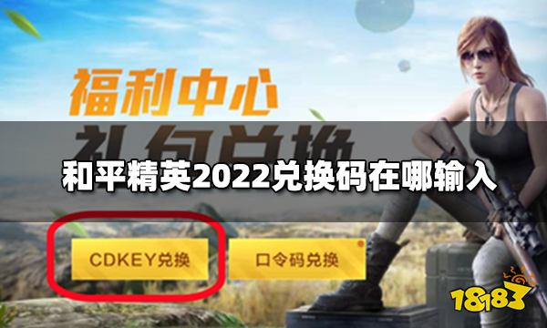 和平精英2022兑换码在哪输入兑换码使用方法