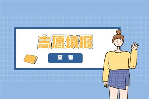 測高考大學app