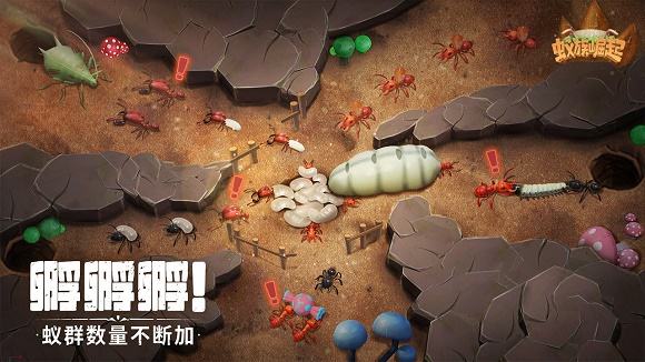 蚁族崛起全部版本下载合集