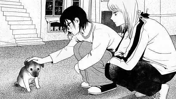 紙房子安卓免費下載大全