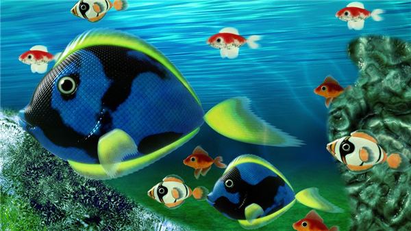 捕鱼大咖下载2026最新版有哪些