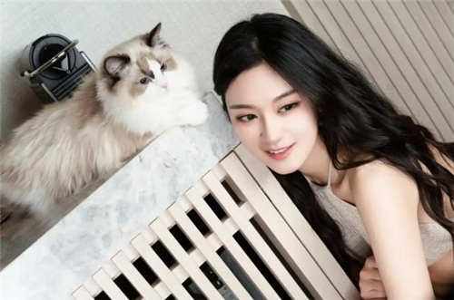 无限制词AI聊天软件推荐
