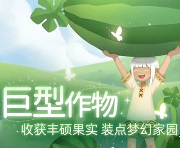 小岛有晴天最新下载合集