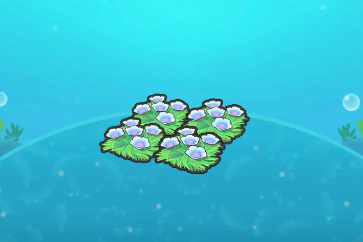 A habitat of four underwater blue flower patches in Pokopia