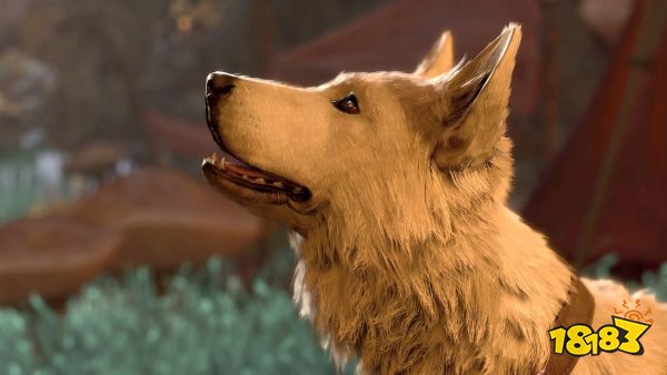 Scratch being adorable in Baldur’s Gate 3.