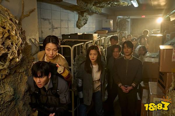 Colony_Still_18-1