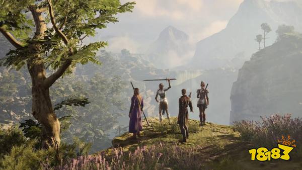Co-op Puzzle Games Baldur