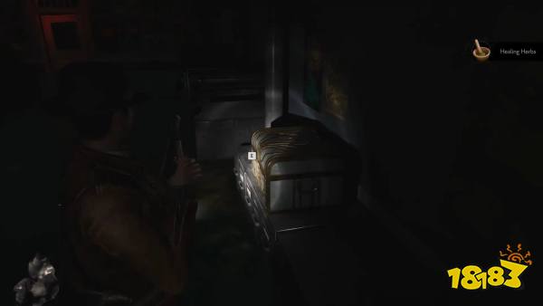 ERC Box 2 - The Sinking City 2