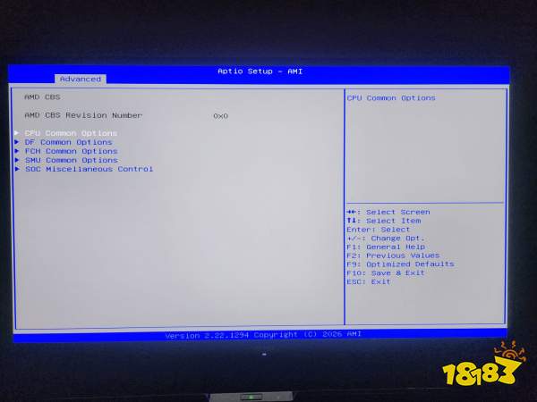 The BIOS menu titled