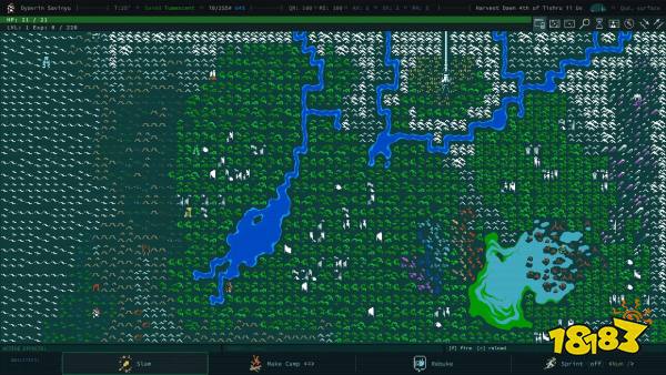 The world map in Caves of Qud