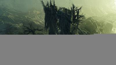 《暗黑破坏神5》首批官方概念图曝光:系列史上最黑暗的世界