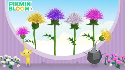 《皮克敏Bloom》2026年10月社区日公布，大型花预测同步公开