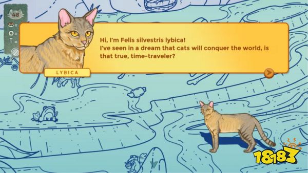 猫咪塔