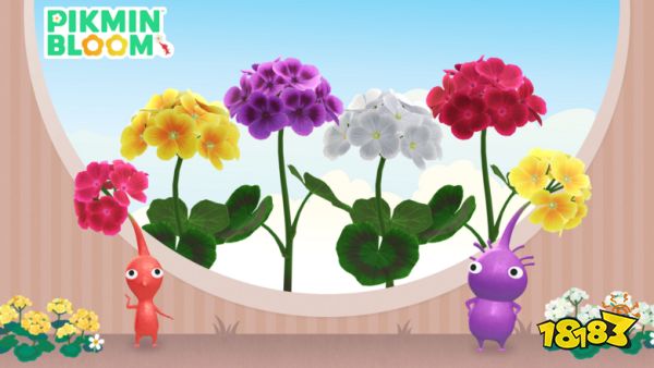 皮克敏Bloom