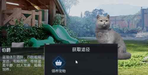 黎明觉醒13