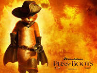 我的世界電腦版1.8穿靴子的貓皮膚下載