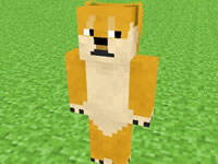 我的世界網(wǎng)絡(luò)柴犬皮膚下載