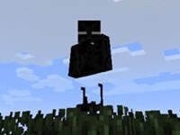 我的世界末影人皮膚下載