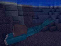 我的世界1.6.4美人魚mod下載