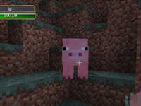 我的世界1.7.10伤害与血量显示mod下载