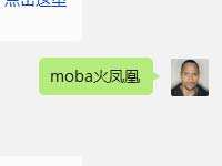 全民超神定制版新游手柄名字是什么呢?