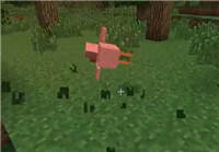 我的世界新手攻略03：种植与烹饪