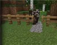 我的世界新手攻略05：牧场的经营